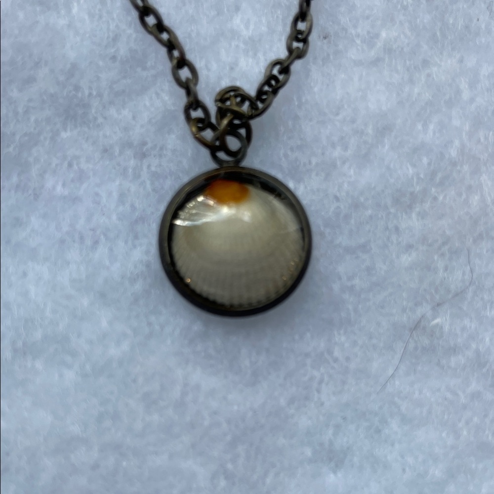 Chic Shell Pendant Necklace in Black and Cream